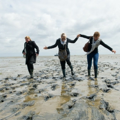 Wadlopen op Terschelling