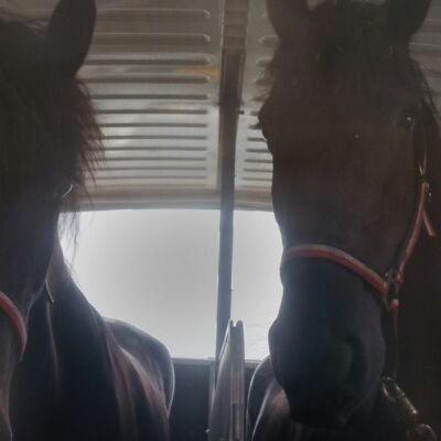 manege-de-seeruyter-vlieland-01