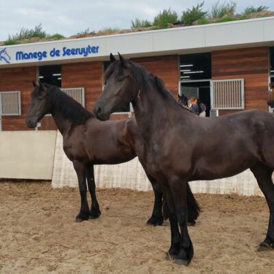 manege-de-seeruyter-vlieland-04