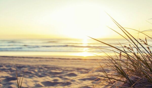 riet-strand-waddeneilanden-westcordhotels