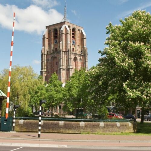 fietsen-in-het-groene-friesland