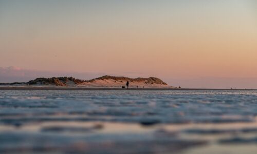bloom-healthy-life-ameland-wadden-programma-stress-management-burn-out