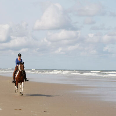 vergaderen-op-vlieland-terschelling-westcord-seeduyn-schylge-boschrijck