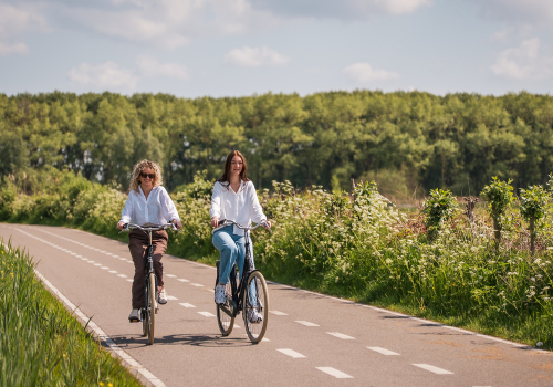 Fietsen in Delft