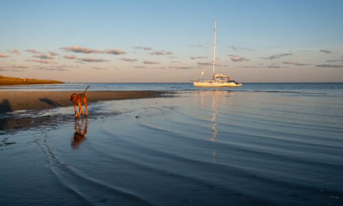 Terschelling met de hond