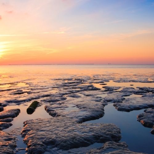 het-nederlandse-waddengebied