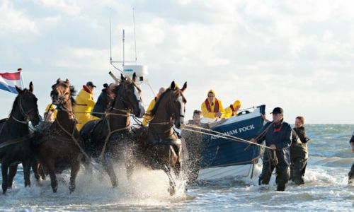 Paardenreddingboot Ameland
