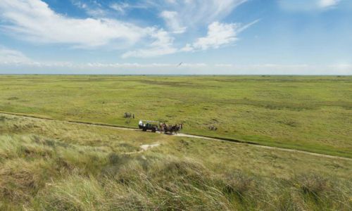 Polderpracht op Terschelling