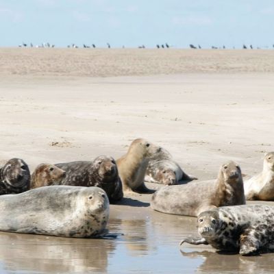 WestCord Hotels-Vakantie in eigen land