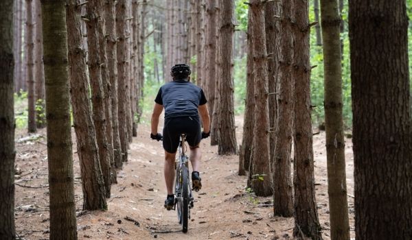 westcord-hotels-mountainbike-blog-veluwe